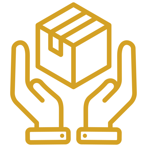 Business set up advisory